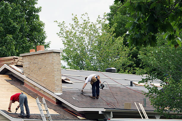 Best Gutter Installation and Repair  in Maple Lake, MN